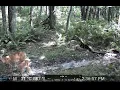 Mountain Man Wisdom With HISEA Boots