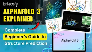 AlphaFold 3 Explained Complete Beginner s Guide to Structure Prediction