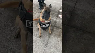    أفضحك       دبلجة مضحكة  اكسبلور  السعودية  دوبلاج                   دندنها