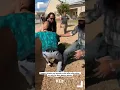 Suspect shoots and wounds artist after altercation at rally for New Mexico statue