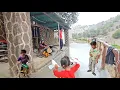 Download Lagu Spending a hot summer🏖🏕day in the village of DeZir and the presence of grandfather