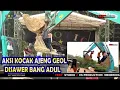 Download Lagu EXOTIC HOUSE MUSIK - PERCERAIAN LARA - AJENG GEOL