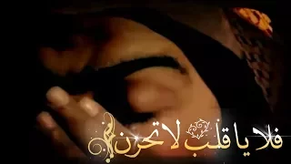 فلا يا قلب لا تحزن أبو سليمان 