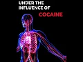 Lagu Under the Influence of Cocaine | UKAT