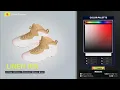 Jordan retro 10 Linen NBA 2K25
