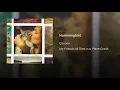 Hummingbird - Cocoon
