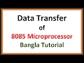 Lec 18 Data Transfer of 8085 Microprocessor Bangla Tutorial