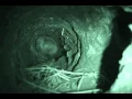 Prairie Dog Tunnel
