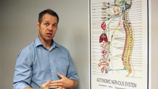 Chiropractor Redlands CA Chiropractic Care at Palmer Chiropractic