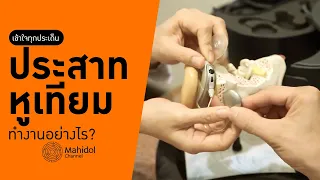 เด็กที่มีปัญหาการได้ยินอาจเกิดจากสาเหตุอะไรบ้าง