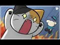 6 Tips to Stop Cat Zoomies