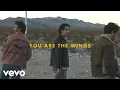 Jonas Brothers - Wings