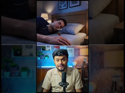 সব মশা ভ্যানিশ হয়ে গেলে!?🤯🦟