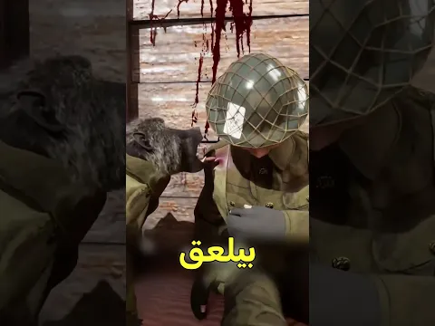 قصة أغرب جندي في التاريخ… قرد! 😳🐒 #shortvideo