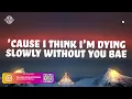 R3HAB, Jason Derulo - Animal (Lyrics)
