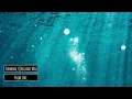 Polar Inc. - Firmoral (Original Mix)
