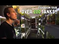 200 Aquarium Fish Room Breeding Apistos Shrimp Rare Nano Fish Full Time