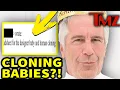 Epstein Was Cloning Babies TMZ