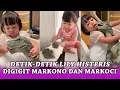 Download Lagu DETIK-DETIK LILY KETAKUTAN MAIN BARENG MARKONO DAN MARKOCI PASUKAN DINOSAURUS KESAYANGAN RAYYANZA
