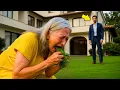Download Lagu MILIONÁRIO ENCONTRA SUA MÃE COMENDO GRAMA NO JARDIM, E O MOTIVO O FAZ CHORAR