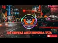 Download Lagu DJ CINTAI AKU HINGGA TUA REMIX