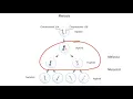 Imprinting and Uniparental Disomy for the USMLE Step 1
