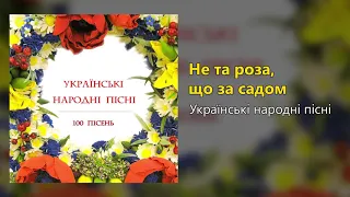 Не та роза що за садом Українські народні пісні  Не та роза що за садом Українські народні пісні