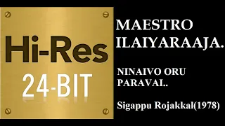 ninaivo oru paravai 24bit hires i i sigappu rojakkal 1978 i i ilaiyaraja i i kamalhassan u0026s janaki 