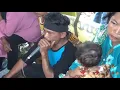 Aksi Pak Budi Nyinden dan Bima CS gendang perang Celeng di Jaranan \