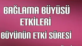 ba lama b y s etki s resi babilmanevidanismanlik ltd