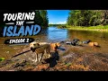 Can 5 Labradors Explore an Entire Island Episode 2
