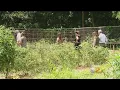 Pa Agriculture Secretary Tours Pittsburgh s Urban Gardens