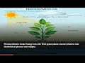 🔥 Photosynthesis: Solar Energy into Life | 20 Mind-Blowing Facts Explained (8K Doc)