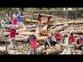 Download Lagu cara kerja buruh upah 100 ribuan,,dari muat glondongan kayu jati sampai muat bongkar balok