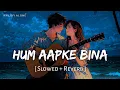 Hum Aapke Bina - Lofi (Slowed + Reverb) | Arijit Singh, Pritam | Sikander | RN Lofi Alone
