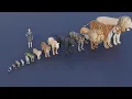Download Lagu Big Cat size comparison  | Tiger VS Lion #animals