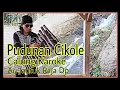 Download Lagu PUDUNAN CIKOLE || KAROKE CALUNG RDP
