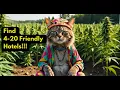 Find Cannabis Friendly Hotels