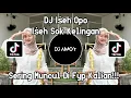 Download Lagu DJ ISEH OPO ISEH SOK KELINGAN VIRAL TIKTOK FULL BASS TERBARU 2024