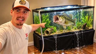 The Floor Caved In Under My Pet Bass's Tank