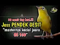 Ciak Ciak Kecial Kuning Joss PENDEK GESIT Ampuh Masternya Kecial Kuning JUARA Cc 100.!!!