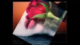 أغنية والله مايسوى  حسين الجسمي دندنها