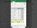 Excel Filters keyboard shortcut