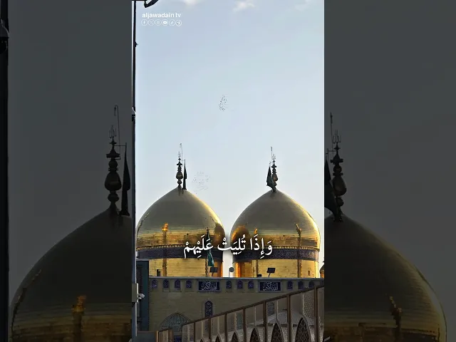 ⁣إنّما المؤمنون الَّذين إِذَا ذكر اللَّه وَجِلَتْ قلُوبهم وإِذا تُلِيَت عَليهِم آياته زادَتهم إيمانا