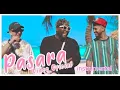 Musiko pasara indiomar Gabriel Rodriges (instrumental)