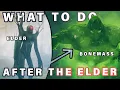 What to do After BEATING the ELDER BOSS Bonemass Guide Valheim
