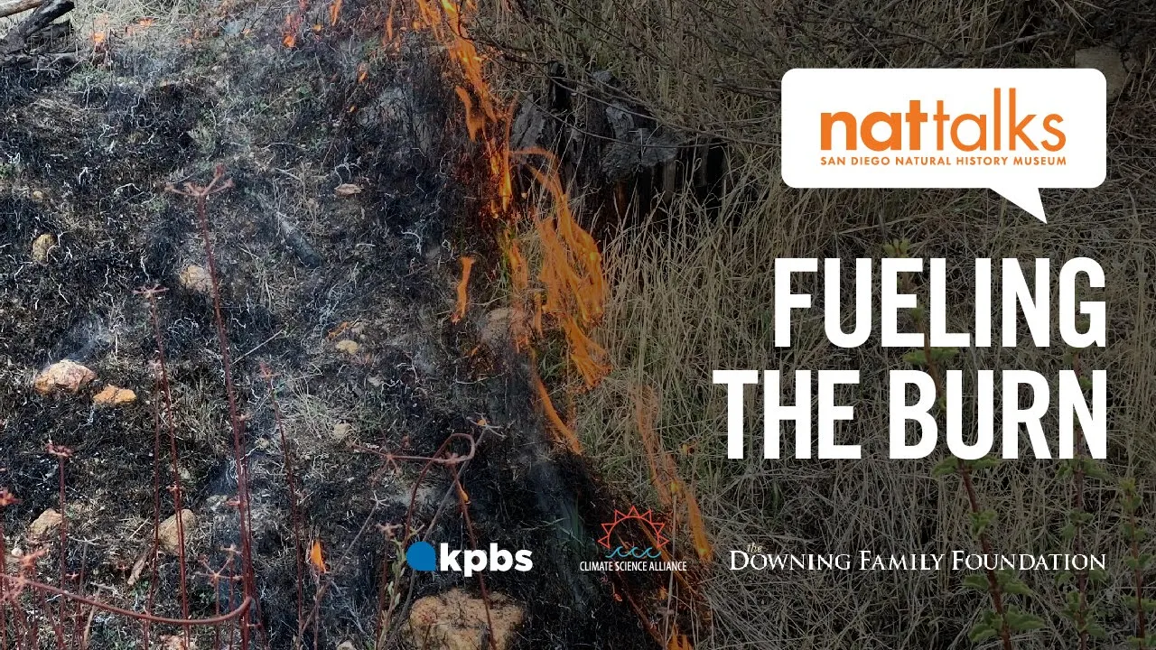 Nat Talk Climate Series: Fueling The Burn