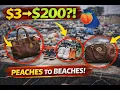 Our First Peaches to Beaches Was It Worth It
