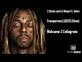 2 Chainz and Lil Wayne Ft. Usher - Transparency [2023] (Clean)