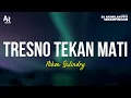 Download Lagu Tresno Tekan Mati - Niken Salindry (LIRIK) | Versi Campursari